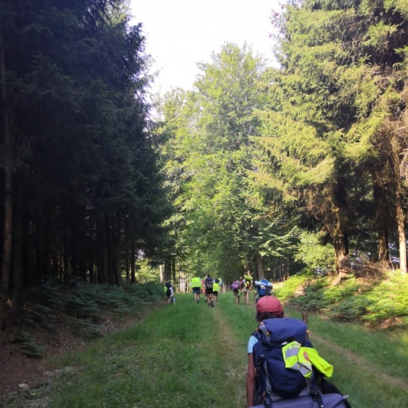 IMG 20190726 103036 - Scouts en Gidsen Zaventem 